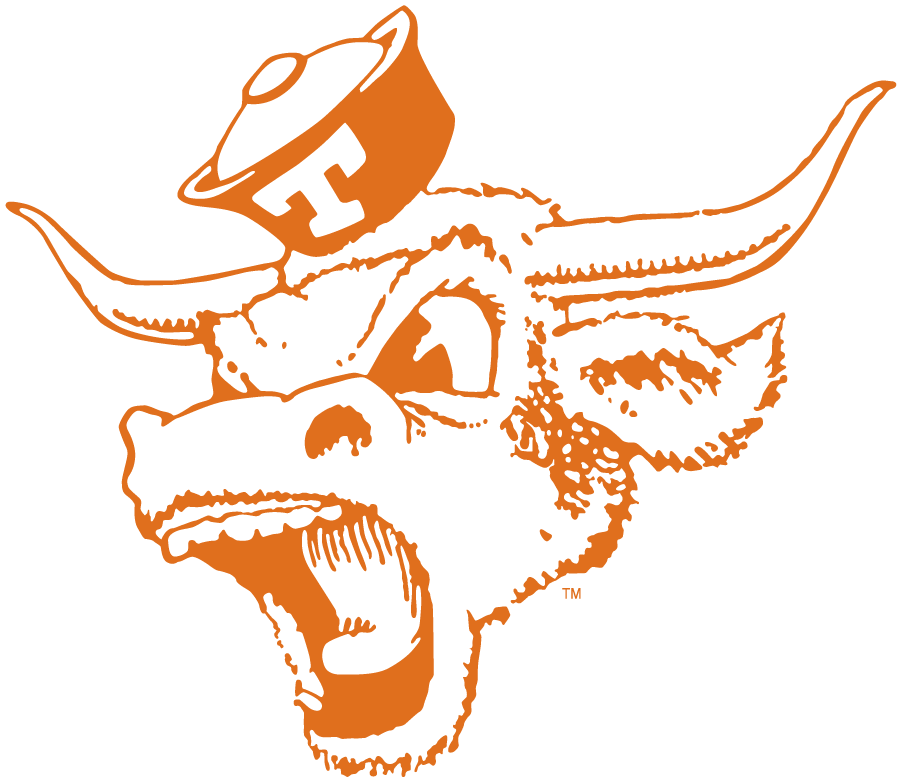 Texas Longhorns 1966-1976 Secondary Logo diy iron on heat transfer
